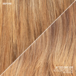 Redken-2020-Extreme-Bleach-Recovery-Social-Post-6-scaled-250x250