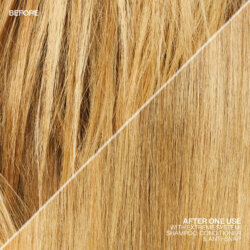 Redken-2020-Extreme-Social-Post-8-scaled-250x250